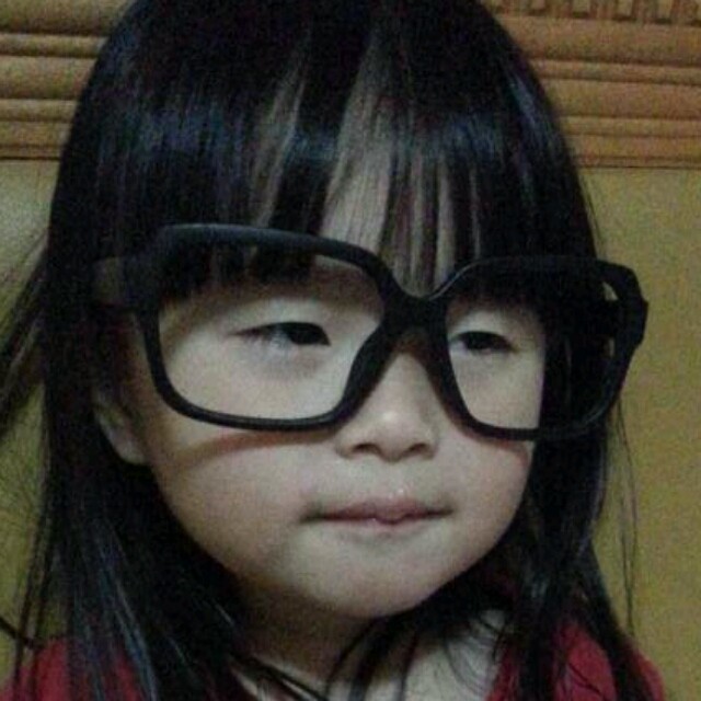 1279963 南極的灰熊
