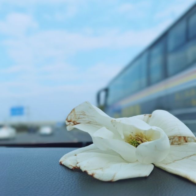 1280265 清茶ウ千种味