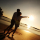 1280506  落 木