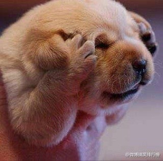 1280708 豌豆妈妈