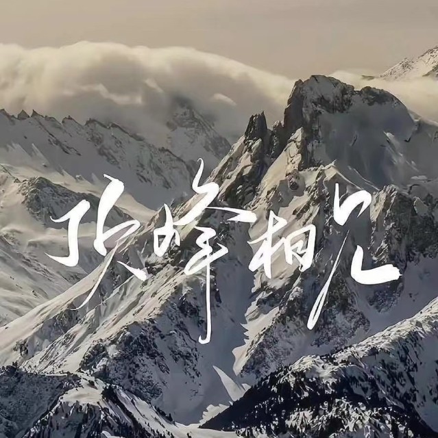 1280798 貓貓