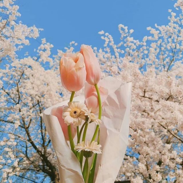 1280860 傲灵