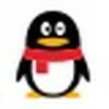 1281285 面团老师