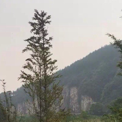 1281440 利剑