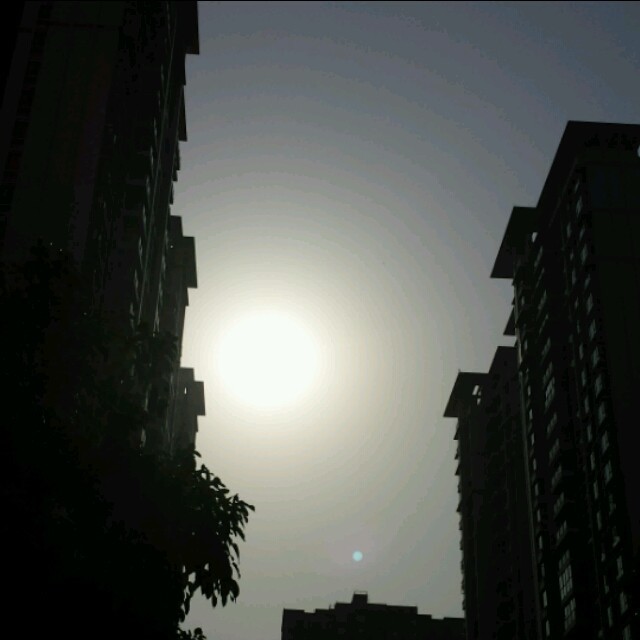 1281468 余扬