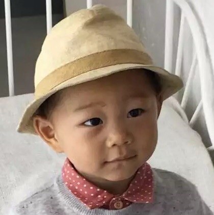 1281582  鱼儿