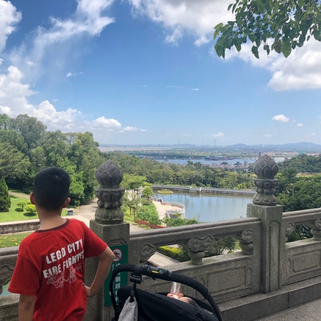 1281934 新丁姜