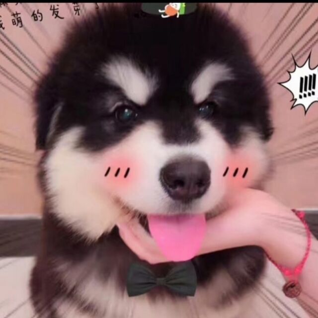 1282005 ζั͡✾﹏ℳ๓₯超ヾ