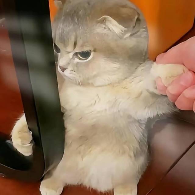 1282055  