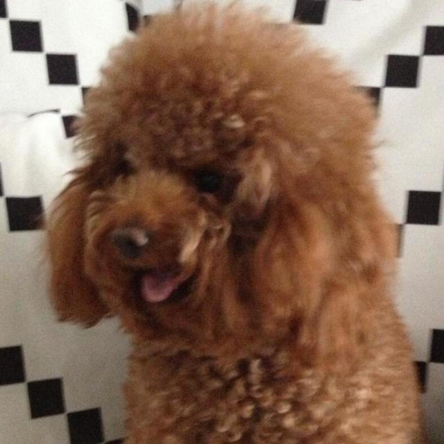 1282514 莎拉
