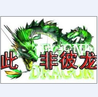 128295 此龍非彼龙