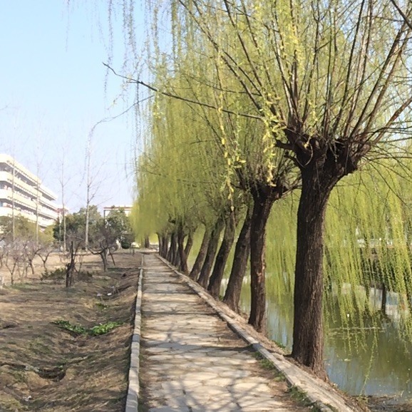 1283724 忠环