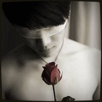 1283777 煙花易冷