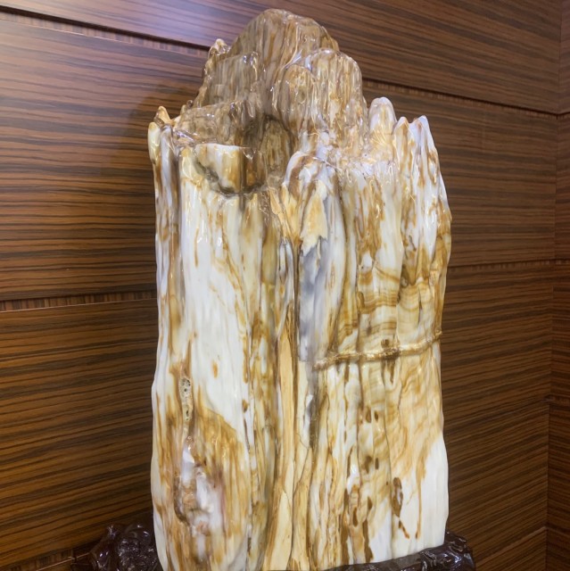1284938 天生我才
