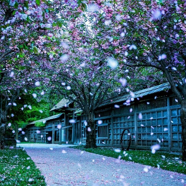 1284960 鑫雨