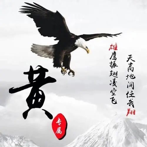 1284989 小人物大世界