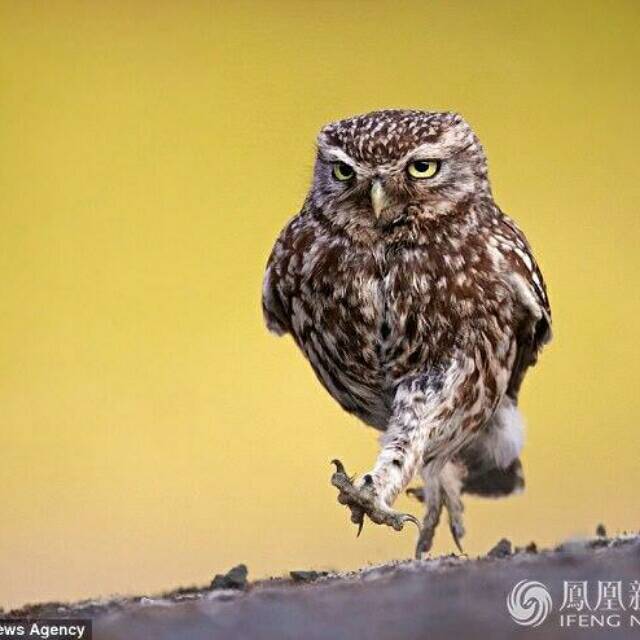 128640 此处略几字