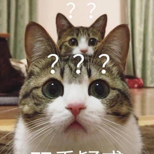1286460 荷包蛋