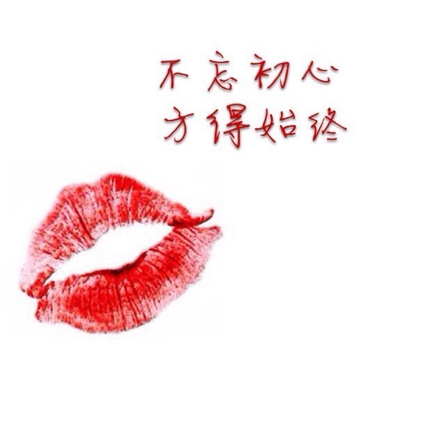 1286536 木木