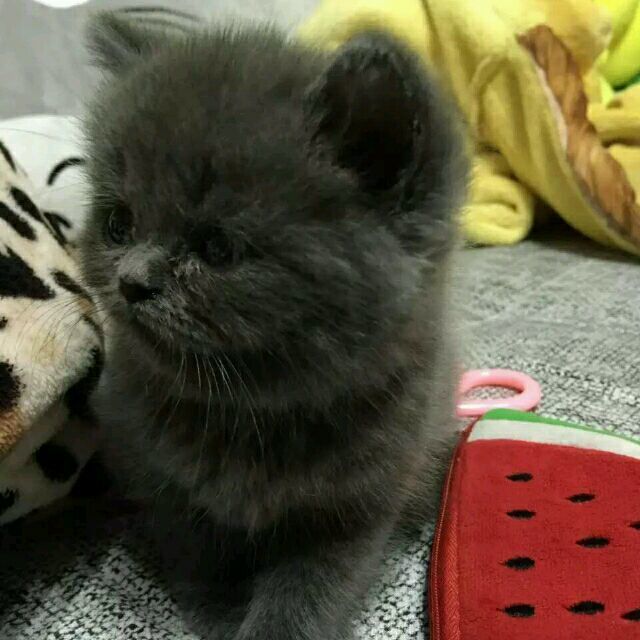 1287293 黎明