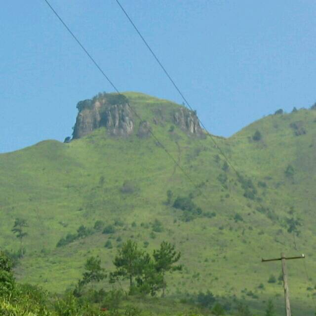 1287510 山竹沐雨