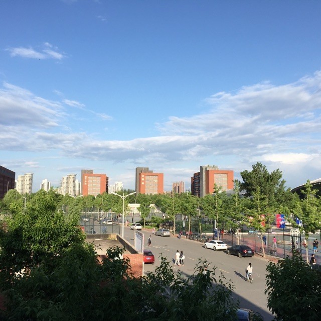 1287546 华语乐坛