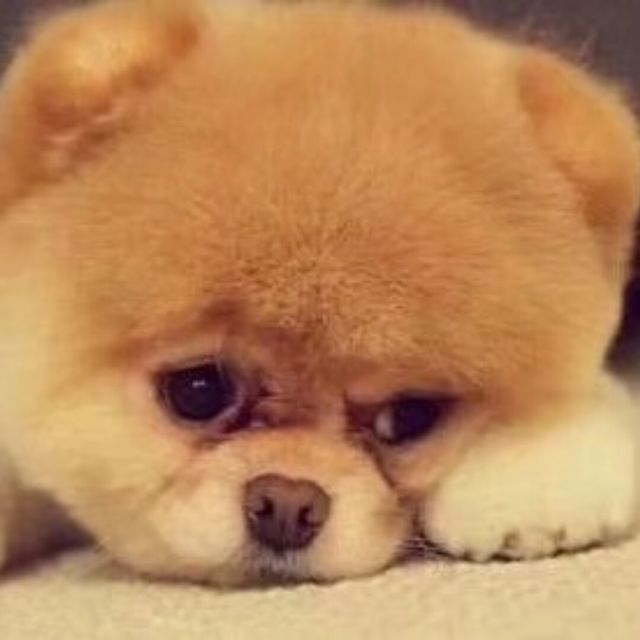 1287674 ༺话不投机半句多༻