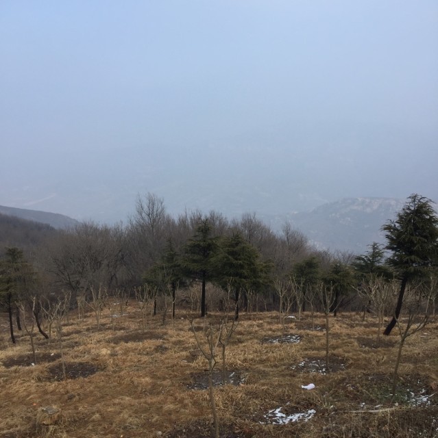 1288010 风吹草动