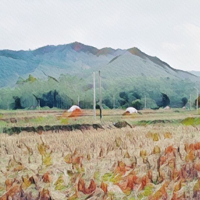 1288313 暖冬