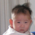 1288796 蚂蚁