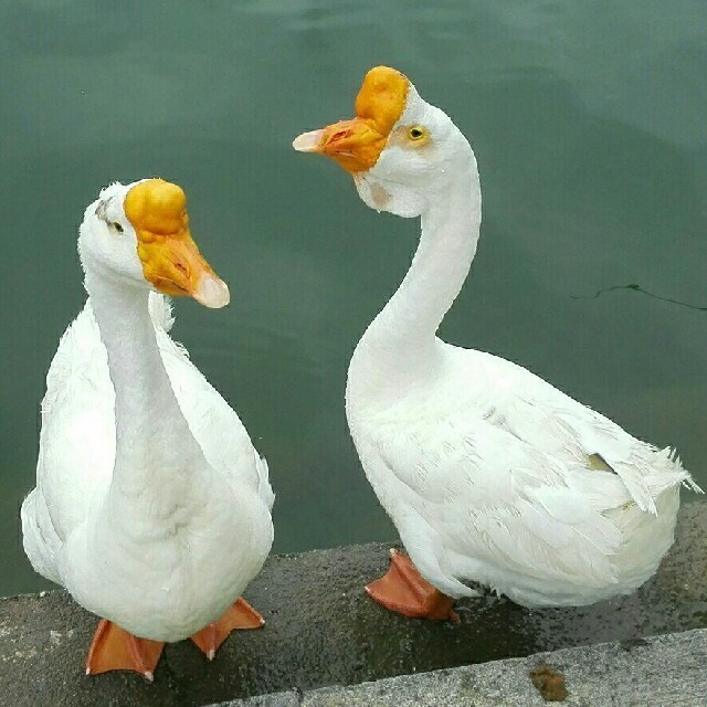1288975 境随心转
