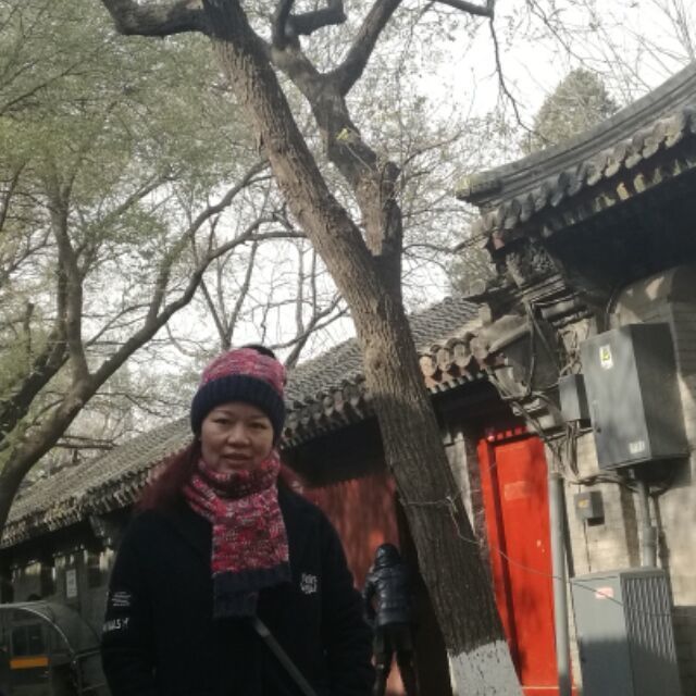 1288992 惠儿