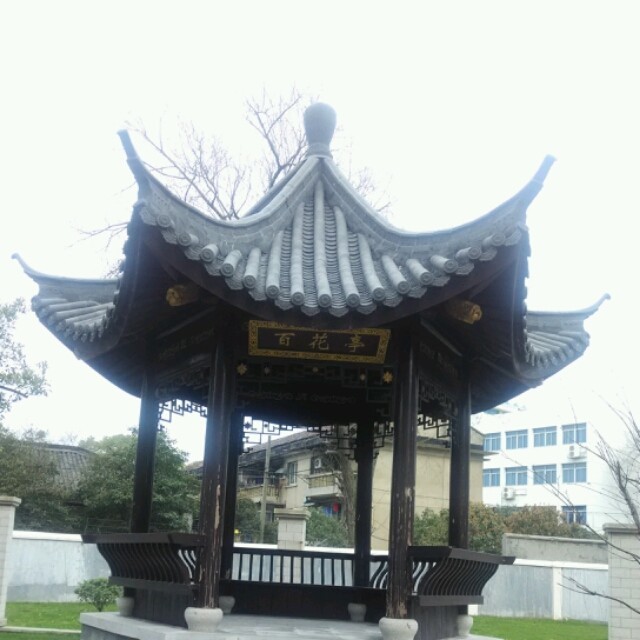 1289170 *心如止水*