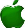 1289271 APPLE