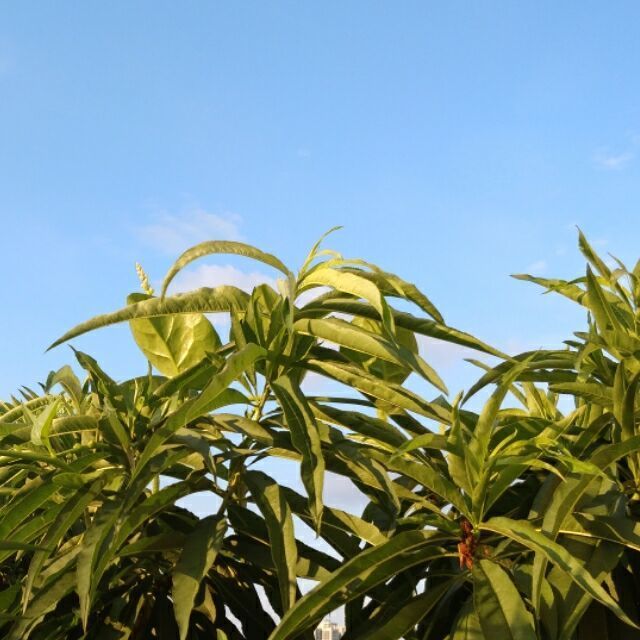 1289396 山水