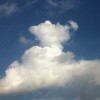 1289582 仰天長嘯