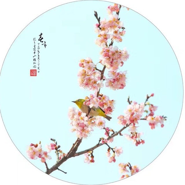 1289917 随风飘过的云