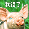 1290050 宁静致远