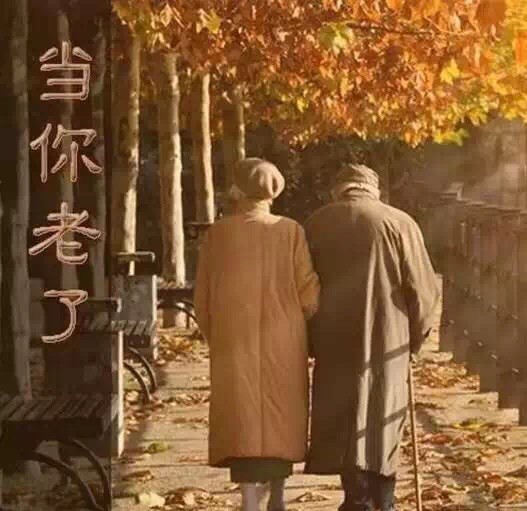 1290128 栋