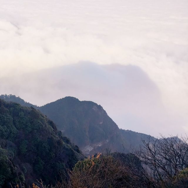 1290136 火火