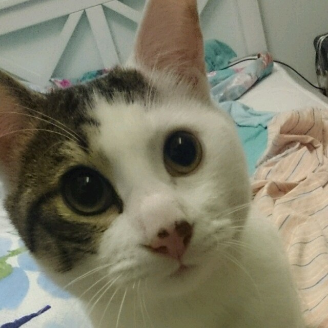 129019 随风走天涯