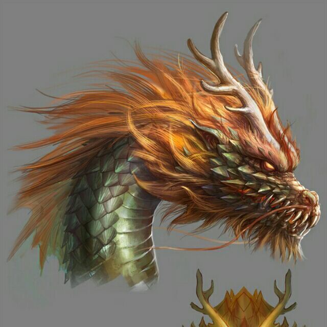 1290964 端午 
