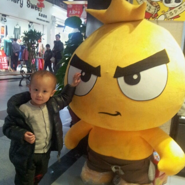 1291433 stephen