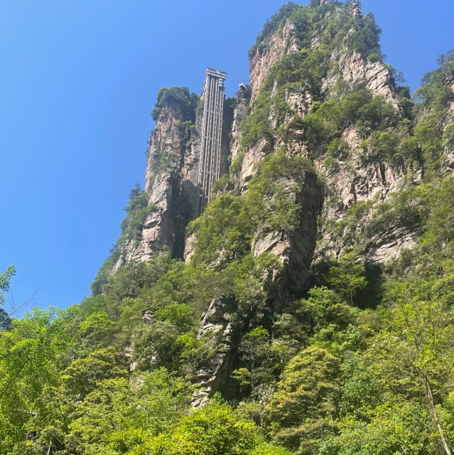 1291435 任重