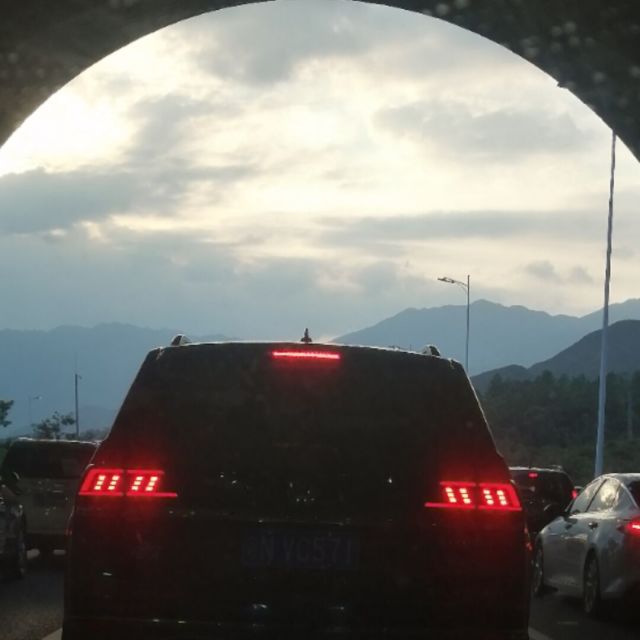 1292393 老盖子