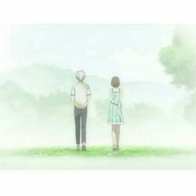 1292655 银狐