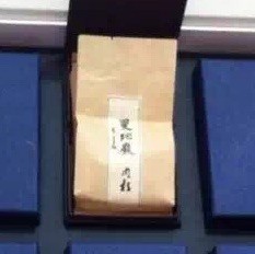 1292941 亡灵序曲✨