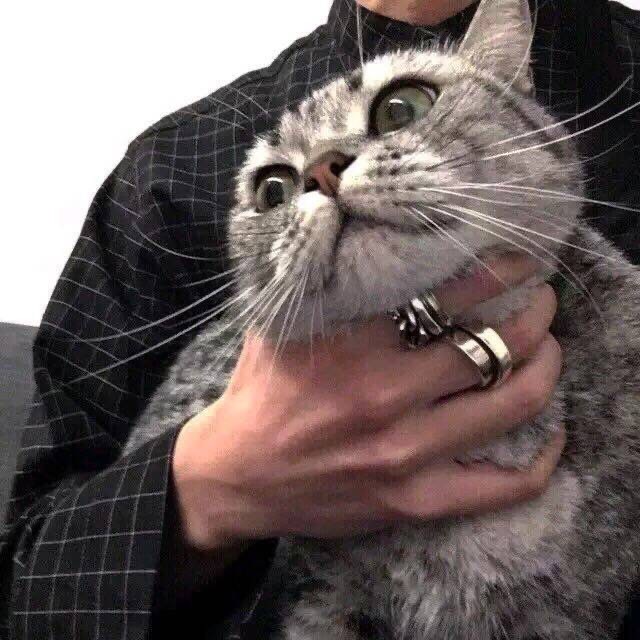 1293243 跟我回家♡