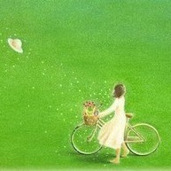 1293252 小白