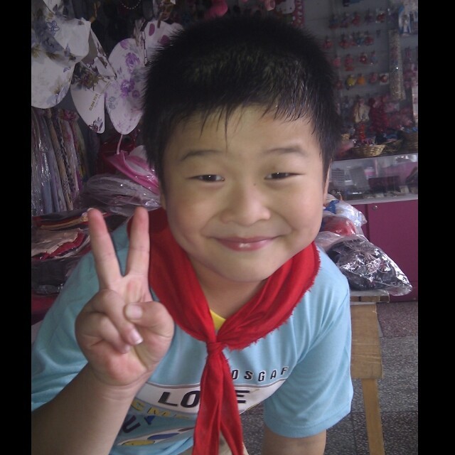 1293285 flash_fox 